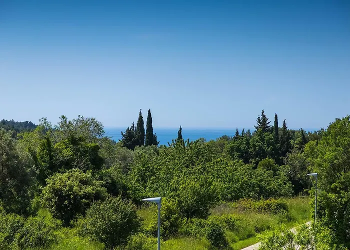 Milla * 프레멘투라